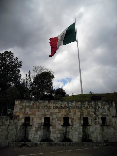 Asta Bandera Monumental de Guelatao