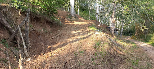 El jardín escondido - Centro de jardinería