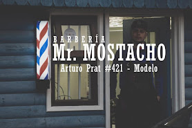 Mr. Mostacho Barberia Peluqueria