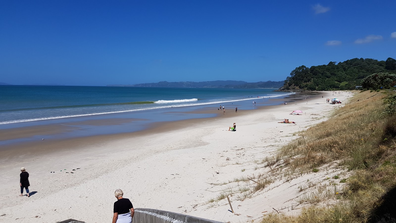 Whangapoua Beach的照片 带有细腻的米色沙子表面