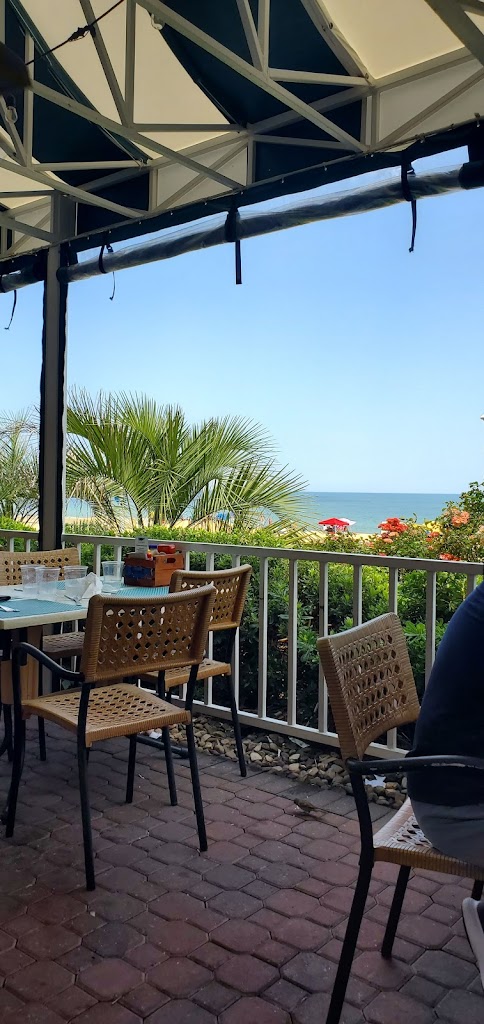 The Square Whale 23451