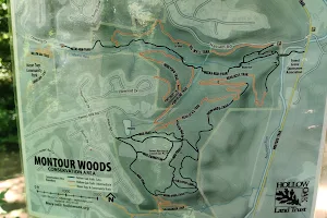 Montour Woods Conservation Area image