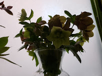 Bloomington Therapeutic Massage - Photo 3 - Car repair in Bloomington, IN, Bloomington