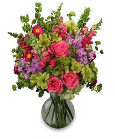 Florist «TGF Flowers», reviews and photos, 3902 Fannin St, Houston, TX 77004, USA