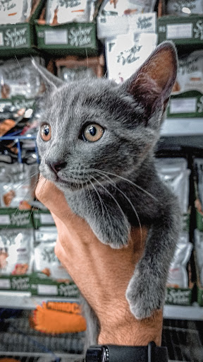 Visão Pet Shop (Loja 2) em São Paulo - SP