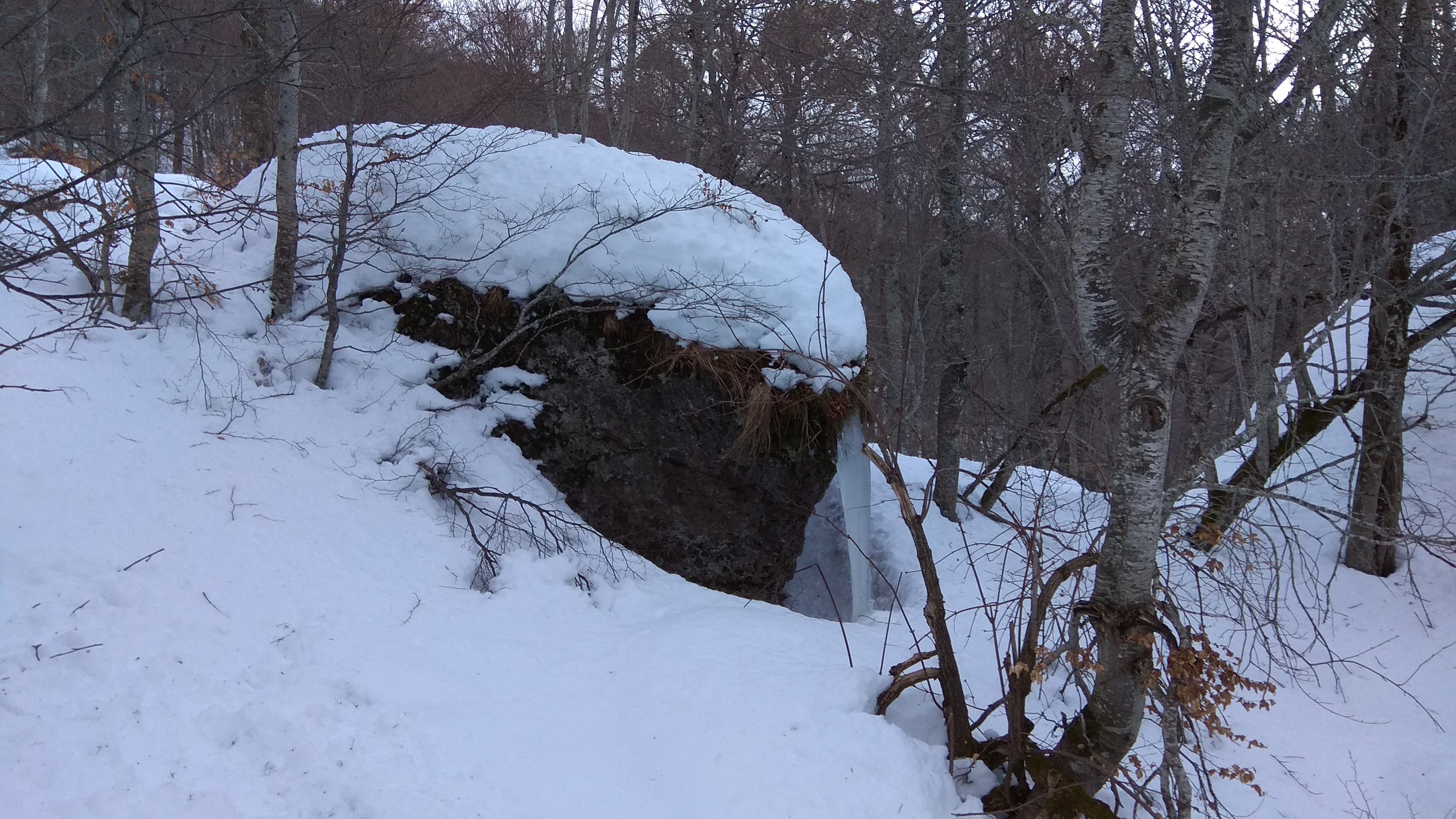 Photo n° 3 de l'avis de Patrick.E fait le 28/12/2017 à 18:13