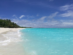 Photo de Vashafaru beach avec rivage droit, long