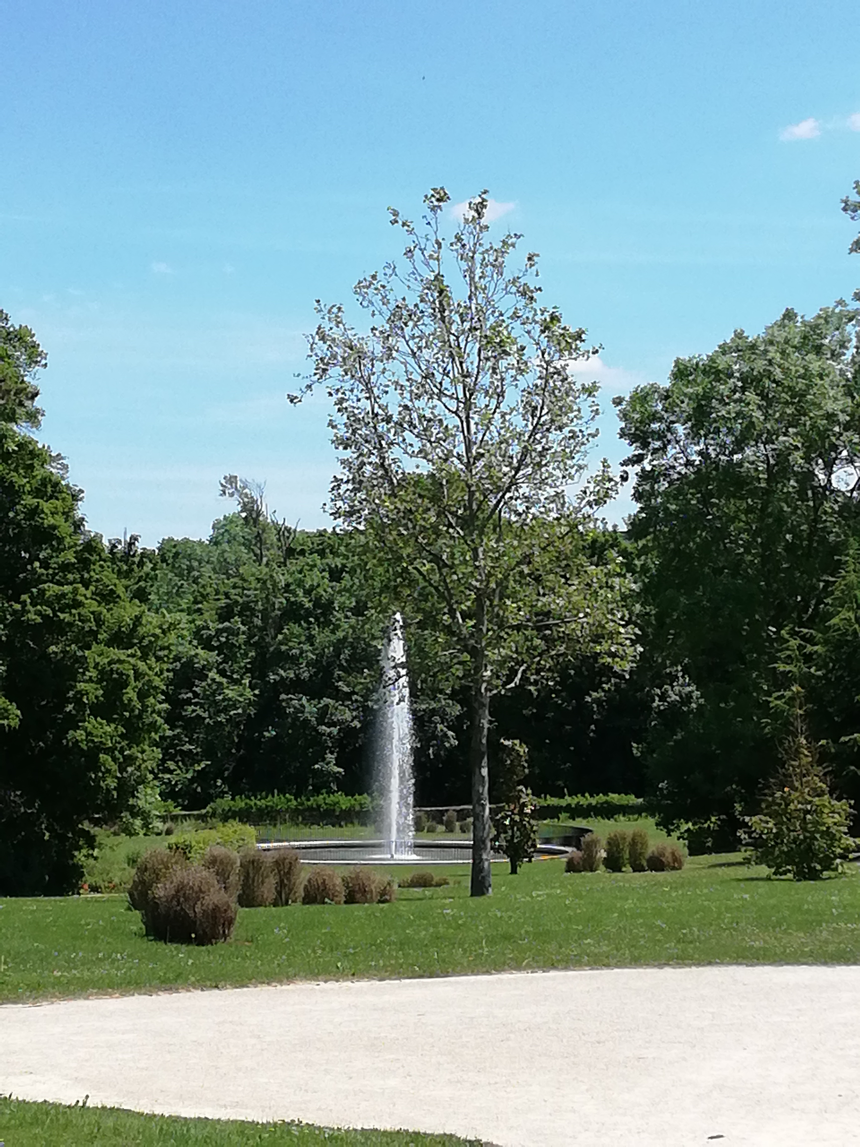 Photo n° 3 de l'avis de Madjid.. fait le 01/06/2019 à 12:21