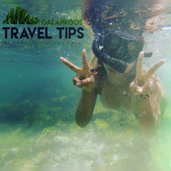 Galapagos Travel Tips