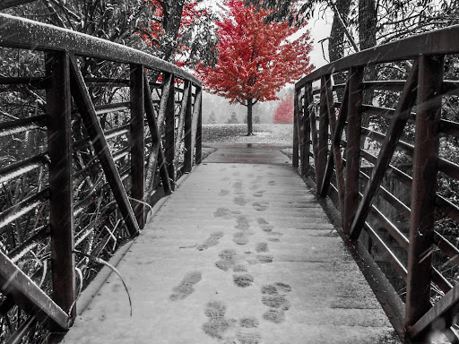 Municipality «Country Lakes Park», reviews and photos, 1835 N Aurora Rd, Naperville, IL 60563, USA