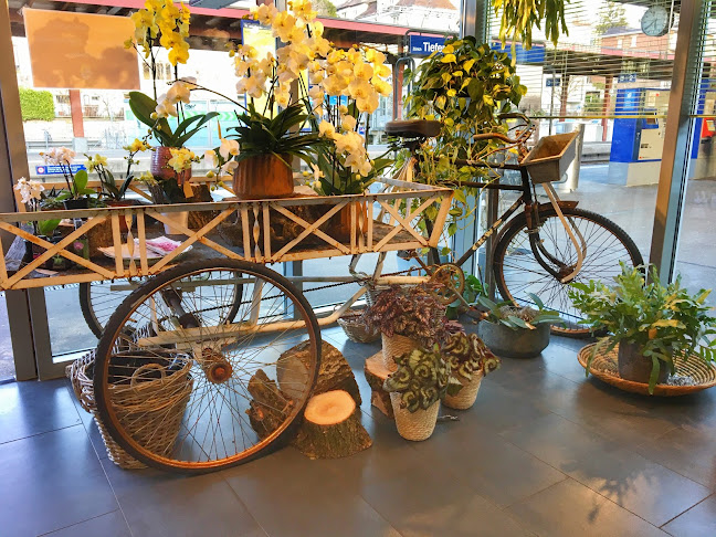 Rezensionen über Valse des Roses - Rosen und Orchideen (Zürich) in Zürich - Blumengeschäft