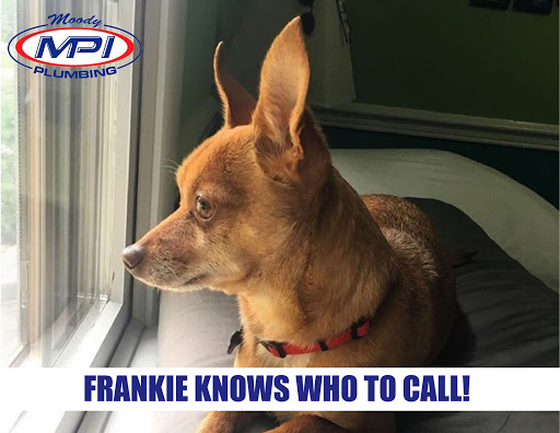 Plumber «Moody Plumbing», reviews and photos, 3147 Niles Rd SE, Warren, OH 44484, USA