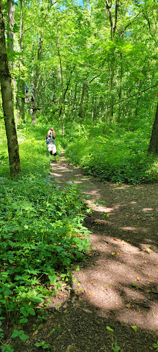 Adventure Sports «Edge Adventure Parks», reviews and photos, 11800 Koteewi Dr, Noblesville, IN 46060, USA