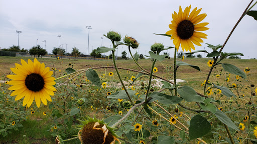 Park «Gabe Nesbitt Community Park», reviews and photos, 7001 Eldorado Pkwy, McKinney, TX 75070, USA