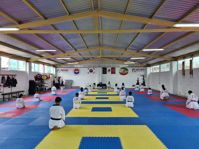 Taekwondo Juventud Marcial Tehucán