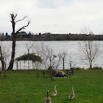 Photo n°9 de l'avis de Laura.a fait le 03/03/2024 à 20:42 sur le  Le Ali del Frassino à Laghetto del Frassino, Peschiera del Garda