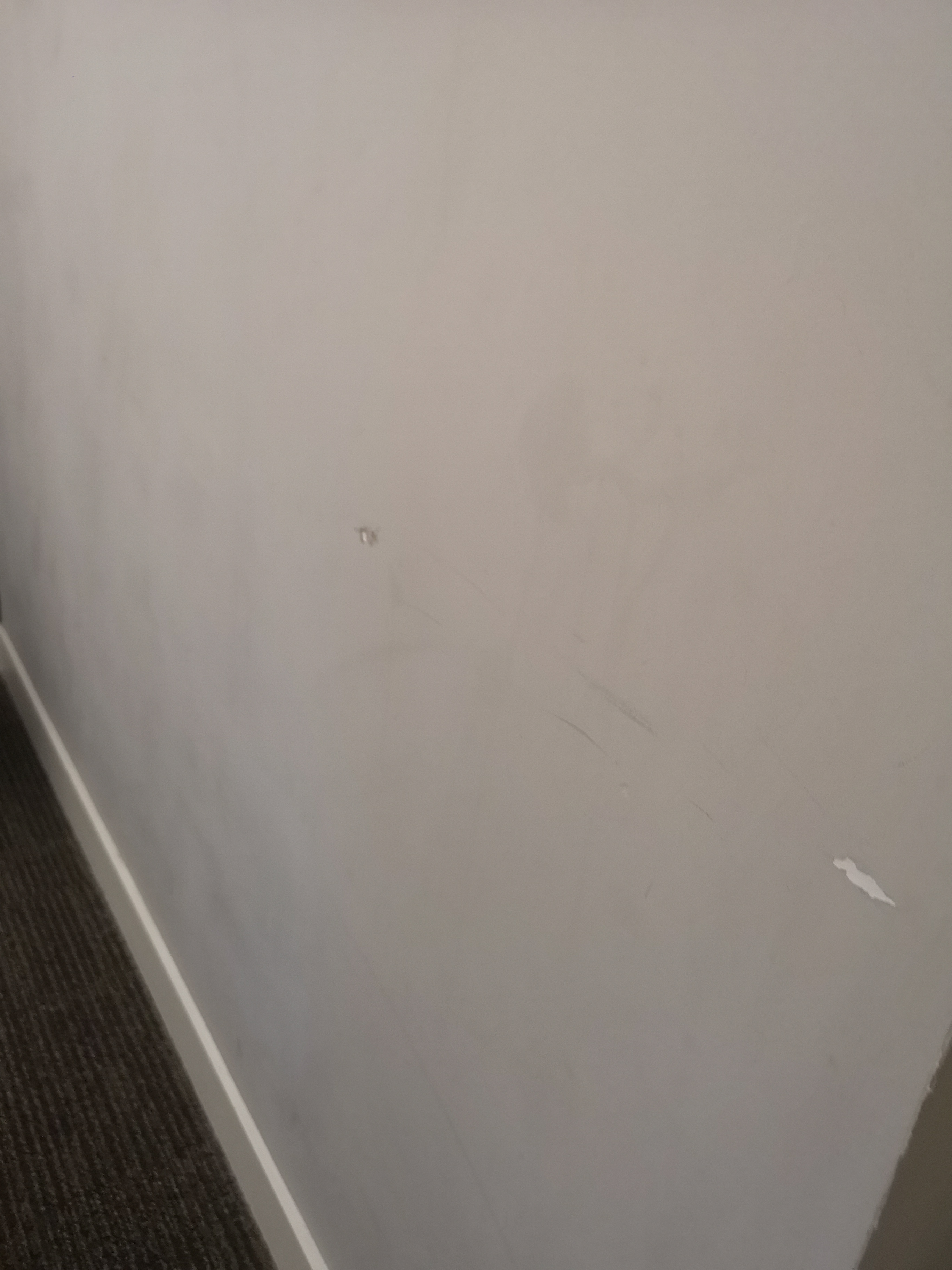 Photo n° 20 de l'avis de Amar. fait le 29/07/2018 à 19:00