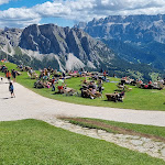 Photo n°4 de l'avis de Maurizio.a fait le 18/08/2022 à 16:53 sur le  Baita Sofie Hütte à Santa Cristina Gherdëina