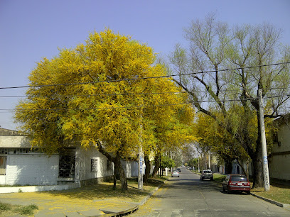 Sociedad Amigos Del Arbol