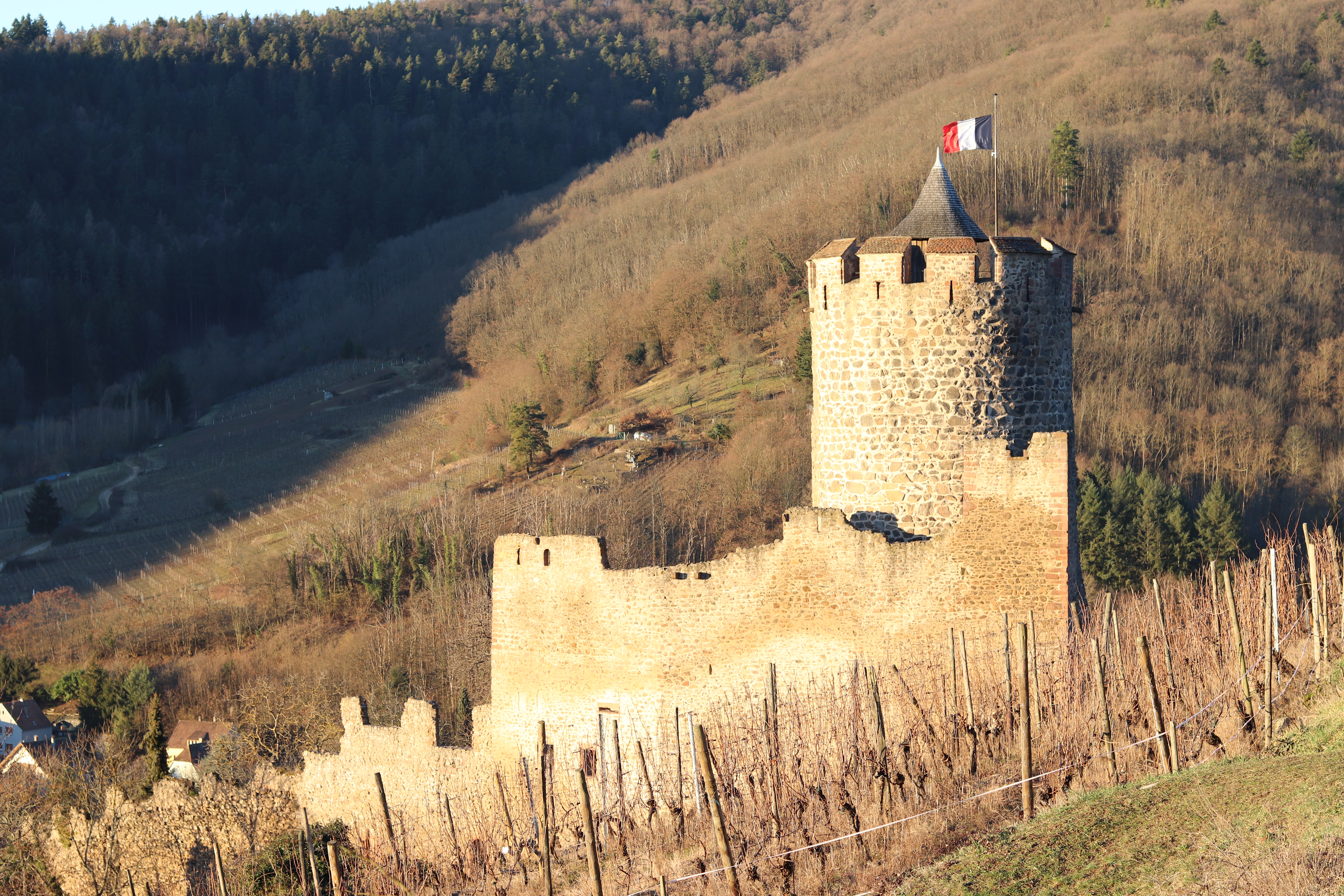 Photo n° 11 de l'avis de Thomas.c fait le 19/02/2019 à 15:46