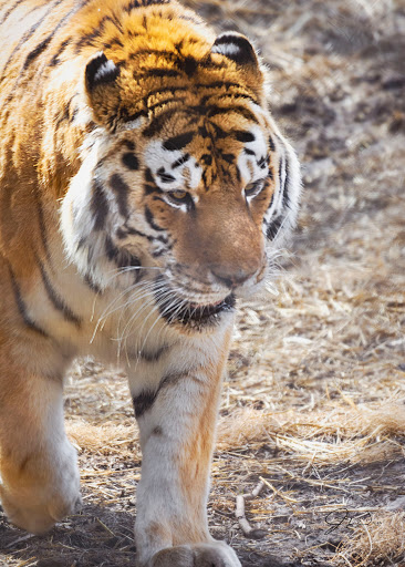 Zoo «Henry Vilas Zoo», reviews and photos, 702 S Randall Ave, Madison, WI 53715, USA