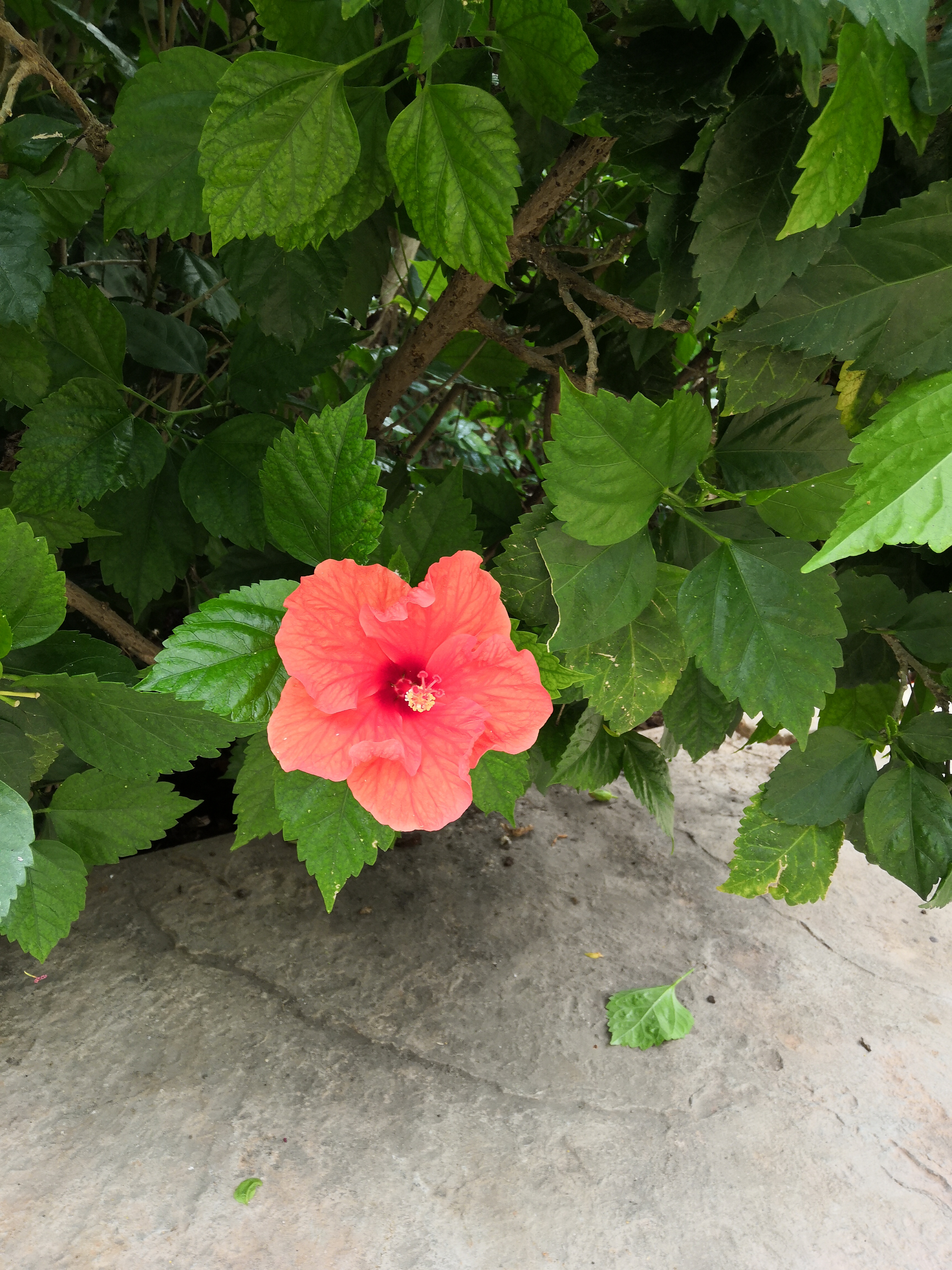 Photo n° 4 de l'avis de Ethan. fait le 16/08/2019 à 16:56
