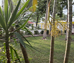 Hospital Regional de Alta Especialidad de Salud Mental Villahermosa photo