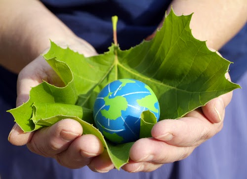 Commercial Printer «Success Printing and Mailing, Inc.», reviews and photos, 10 Pearl St, Norwalk, CT 06850, USA