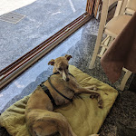 Photo n°1 de l'avis de Markus.r fait le 05/06/2023 à 10:58 sur le  Ristorante Pizzeria Villa Giara à Arco