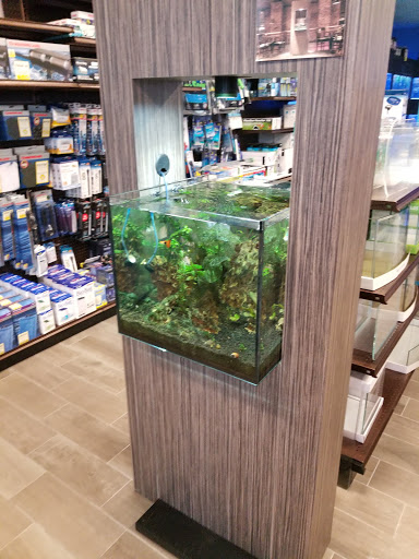 Tropical Fish Store «Aquatic Wildlife Co», reviews and photos, 70 Buckland Rd, South Windsor, CT 06074, USA