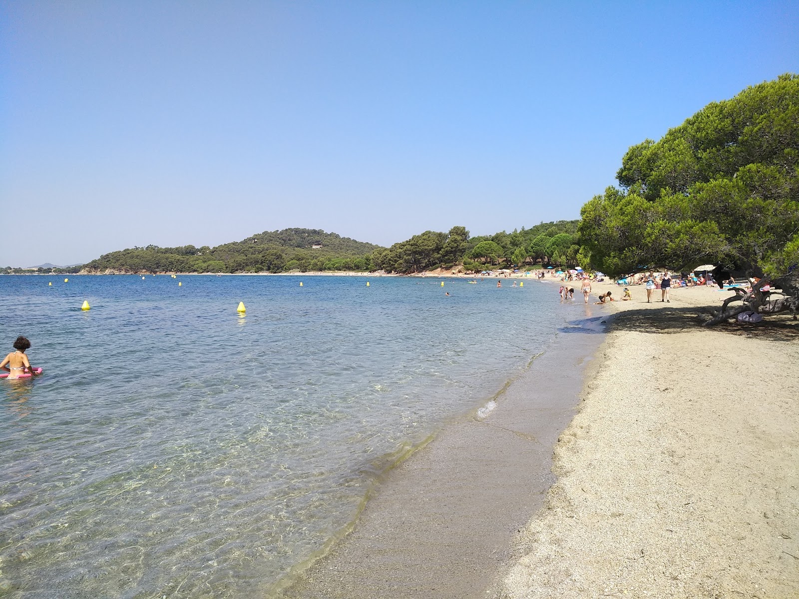 Foto de Playa Pellegrin con arena beige superficie