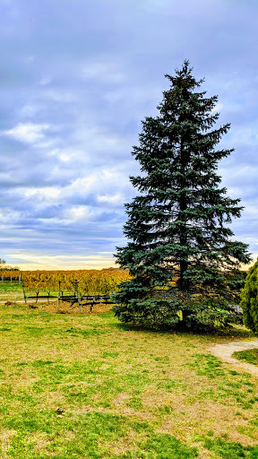 Winery «Paumanok Vineyards», reviews and photos, 1074 Main Rd, Aquebogue, NY 11931, USA