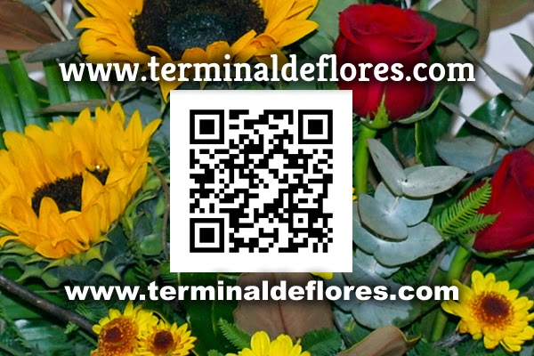 Opiniones de Terminal de Flores en Independencia - Floristería