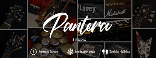 Pantera Estudio