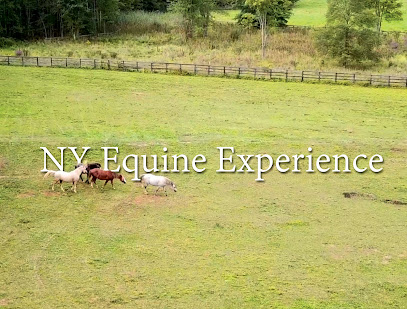 NY Equine Experience