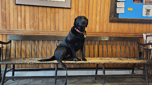 Oxbow Veterinary Clinic image