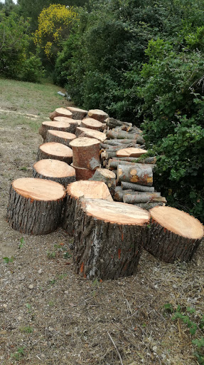 Tree felling Marseille