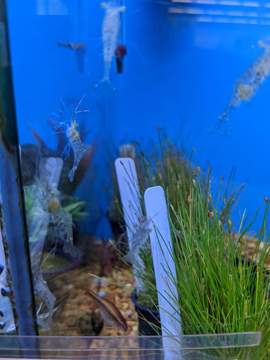 Pet Supply Store «Petco Animal Supplies», reviews and photos, 2241 Porter Creek Dr, Fort Worth, TX 76177, USA