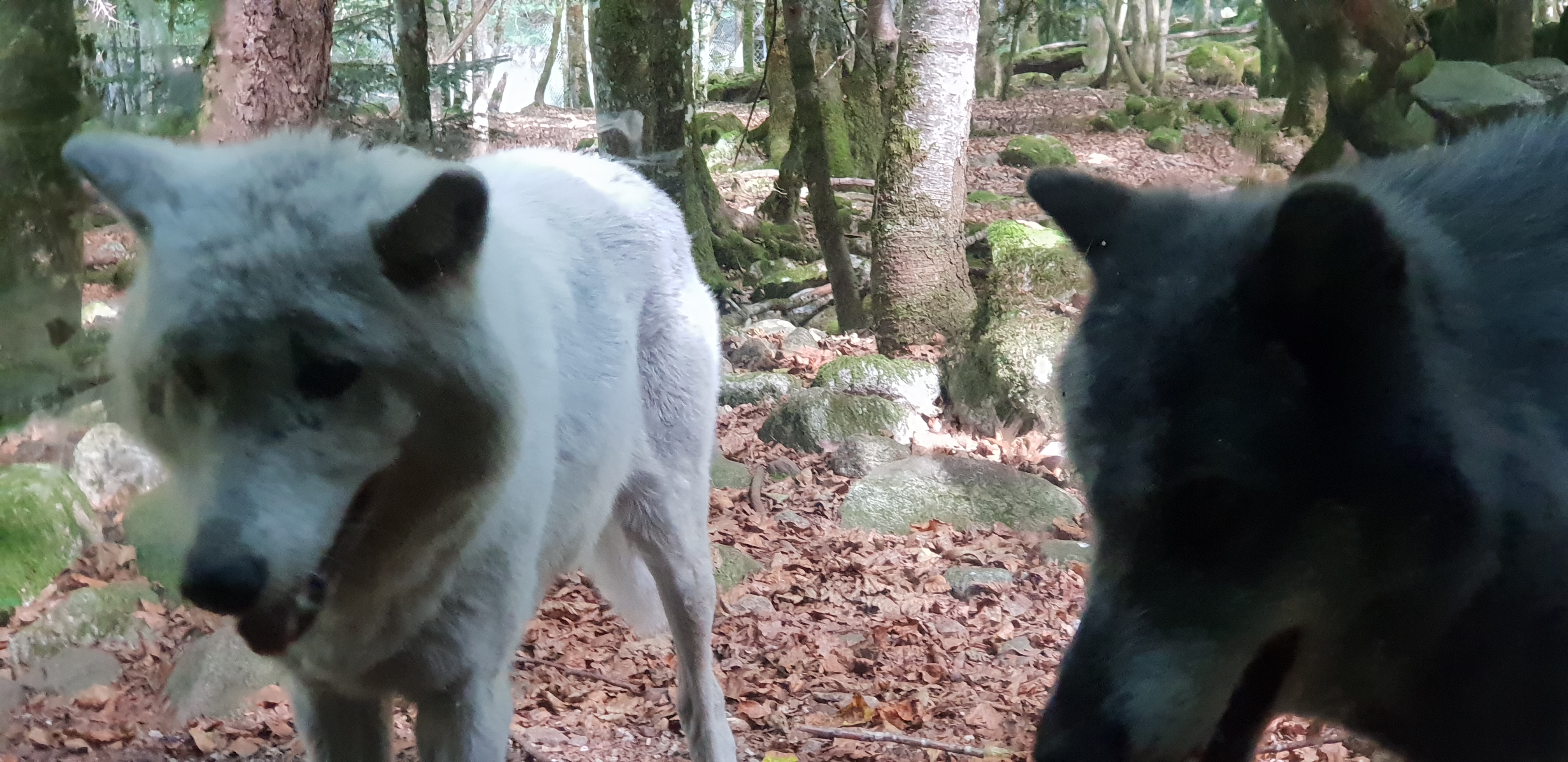 Photo n° 2 de l'avis de Christophe.e fait le 26/09/2018 à 10:29