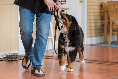 AF1QipPMJdtTeK9eCwTzHqJ4cDT5-x-KuUUhNI-_SMso=w408-h272-k-no