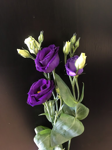 Florist «Parker Blooms», reviews and photos, 11153 S Parker Rd, Parker, CO 80134, USA