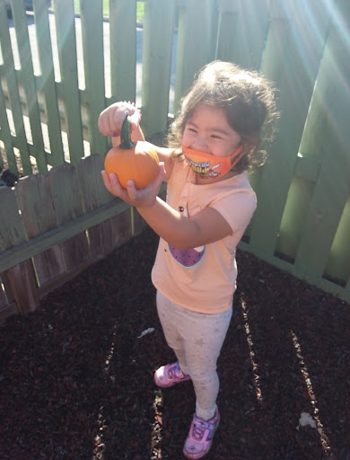 Preschool «Childrens Creative Corner Inc», reviews and photos, 2793 Maple Ave, Lisle, IL 60532, USA