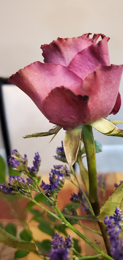 Florist «Heritage Flowers, Inc.», reviews and photos, 522 SE 1st Ave, Ocala, FL 34471, USA