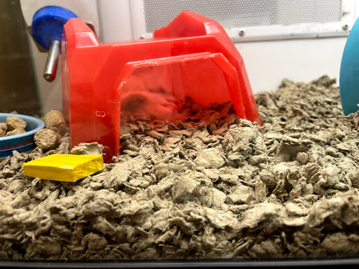 Pet Supply Store «Petco Animal Supplies», reviews and photos, 17200 Southcenter Pkwy #100, Tukwila, WA 98188, USA