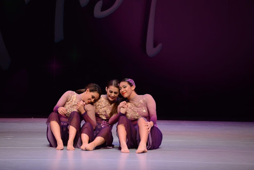 Dance School «Hermitage Dance Academy», reviews and photos, 3441 Lebanon Pike #130, Hermitage, TN 37076, USA