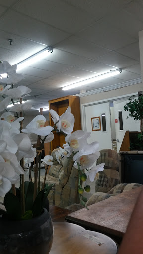 Thrift Store «Orlando Union Rescue Mission», reviews and photos, 911 W Central Blvd, Orlando, FL 32805, USA