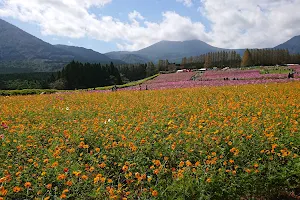 Ikoma Plateau image