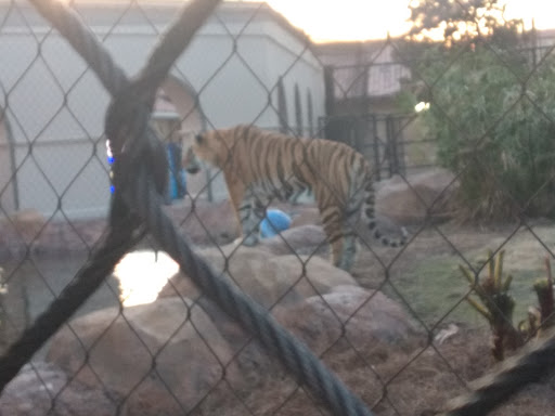 Arena «Pete Maravich Assembly Center», reviews and photos, N Stadium Rd, Baton Rouge, LA 70802, USA