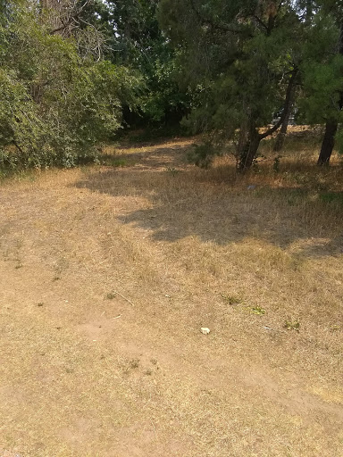 Public Golf Course «Willis Case Golf Course», reviews and photos, 4999 Vrain St, Denver, CO 80212, USA