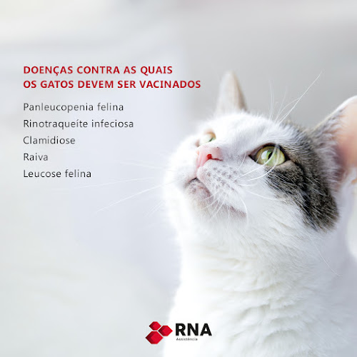 RNA - Rede Nacional de Assistência - Agência de seguros